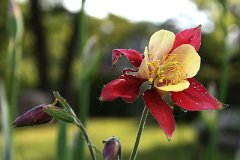 photo 0122